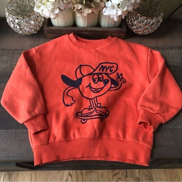 Zara Other - Zara Sweatshirt Size 3-4 years